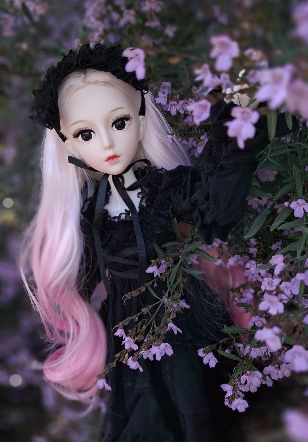The Secret Garden Collection Pink Hair Wizard in Black Vintage Dress 1/3 60cm BJD Doll