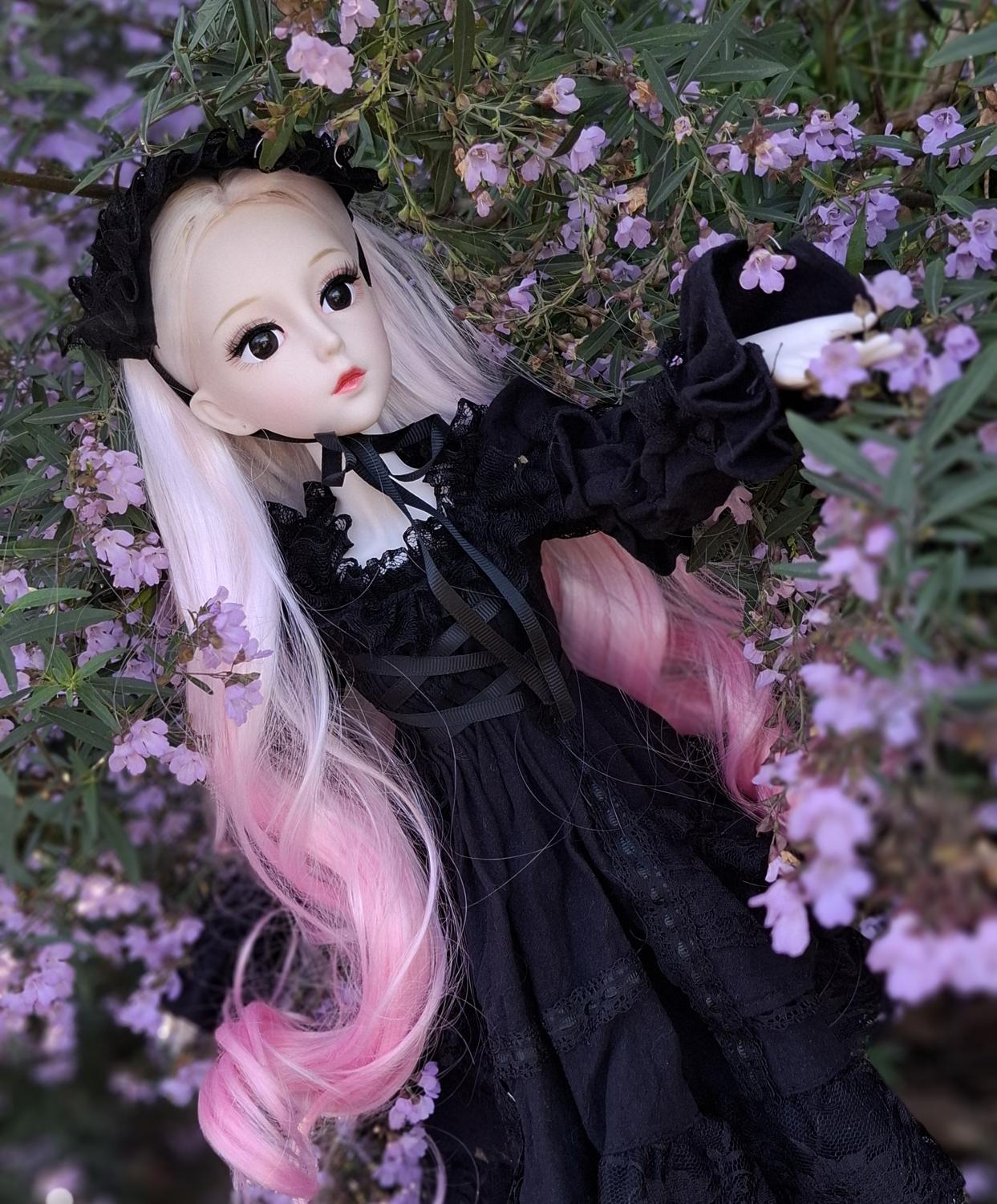 The Secret Garden Collection Pink Hair Wizard in Black Vintage Dress 1/3 60cm BJD Doll